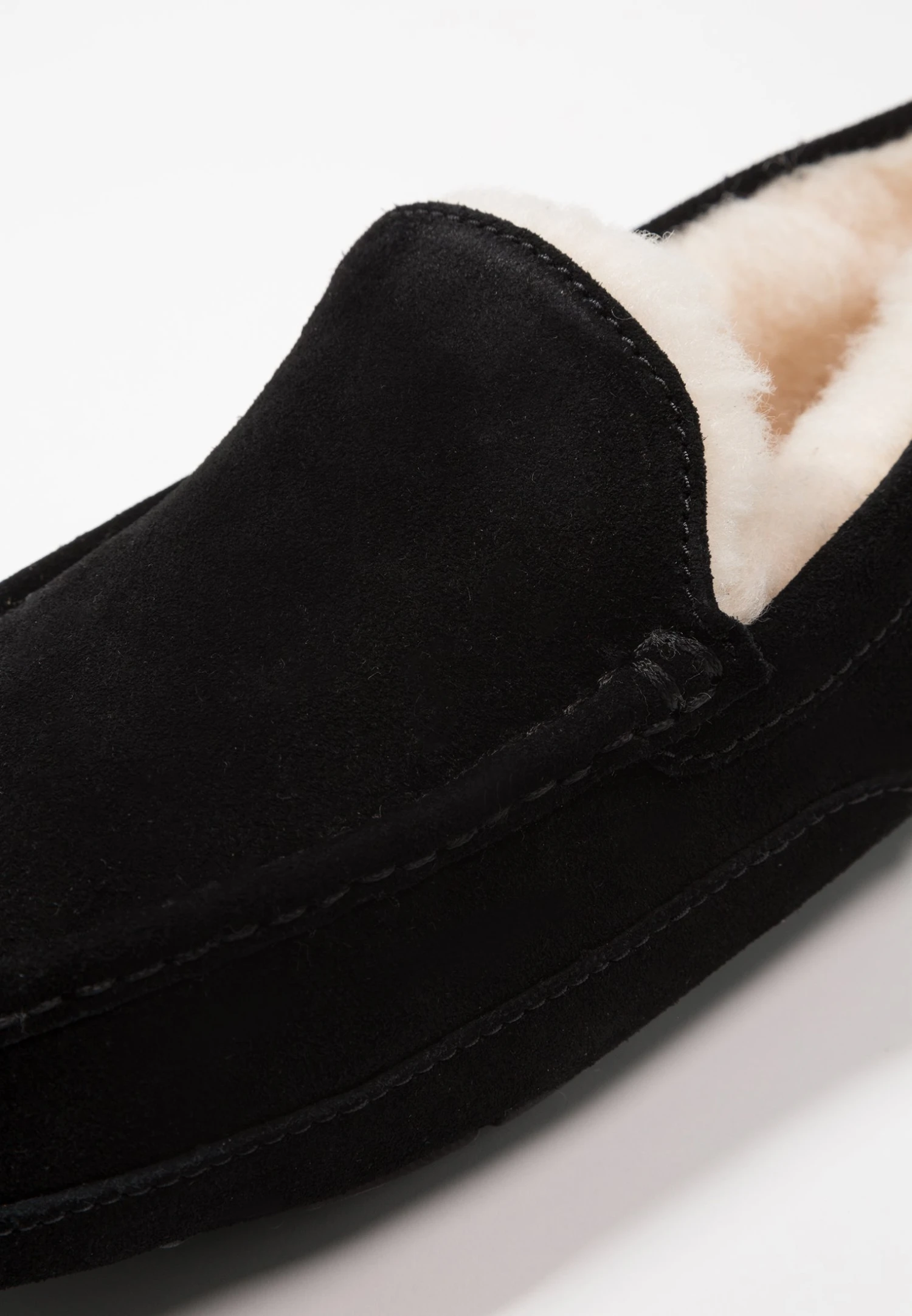Ugg Ascot - Pantofole - Black 6 Ugg Ascot - Pantofole - Black - immagine 6