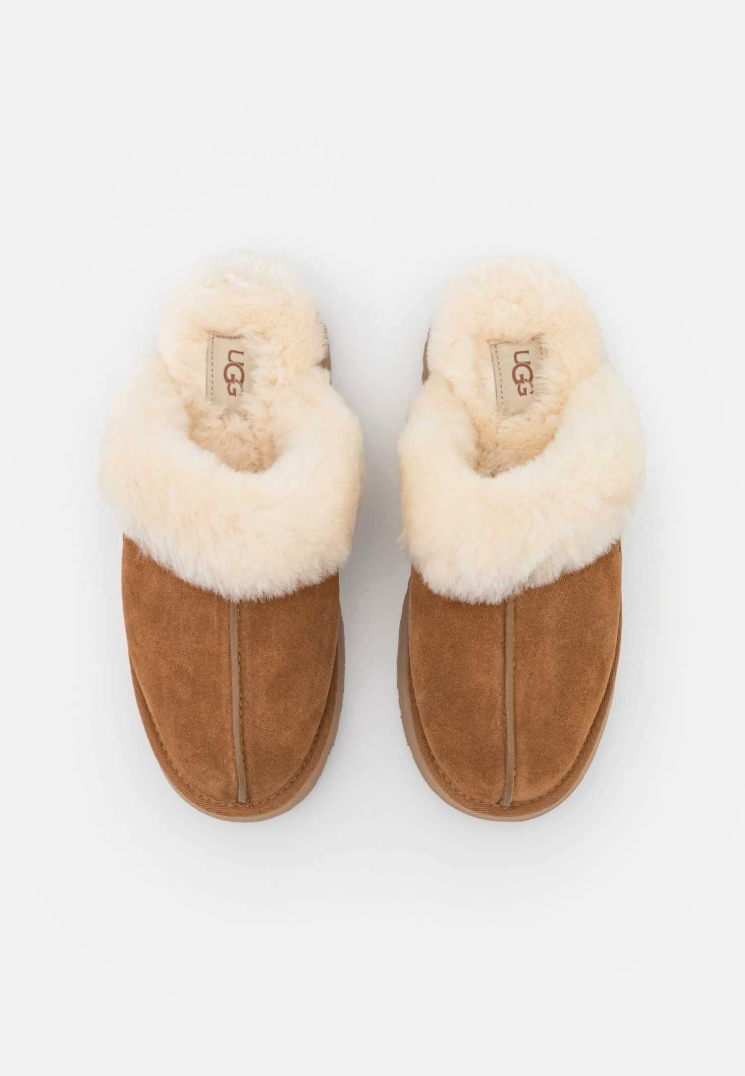 Ugg Disquette - Pantofole - Chestnut 8 Ugg Disquette - Pantofole - Chestnut - immagine 8